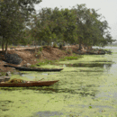 Fishing boats at landing site, Volta river, Ghana (by courtesy of Arne Homann)